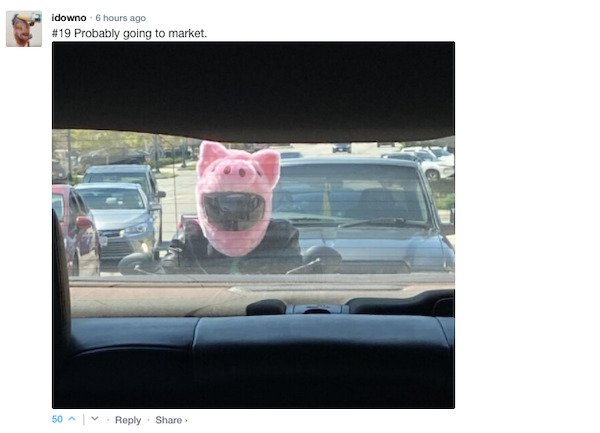 Funny Comments (76 pics)