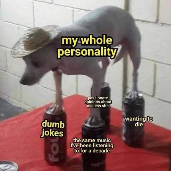 Anxiety Memes (31 pics)