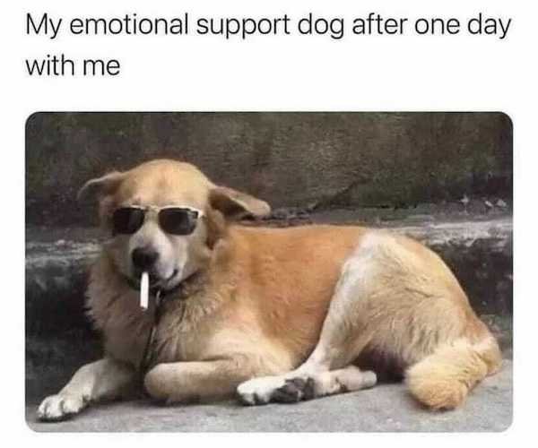 Anxiety Memes (31 pics)