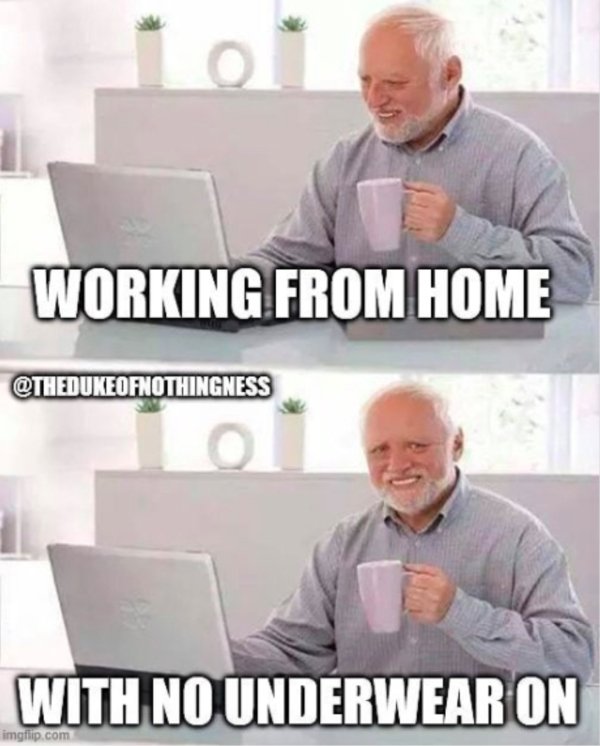 Work From Home Memes (25 pics)