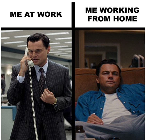 Work From Home Memes (25 pics)
