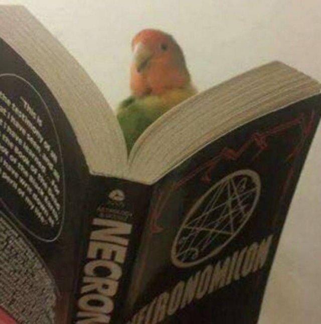 Acid Picdump 1 (75 pics)