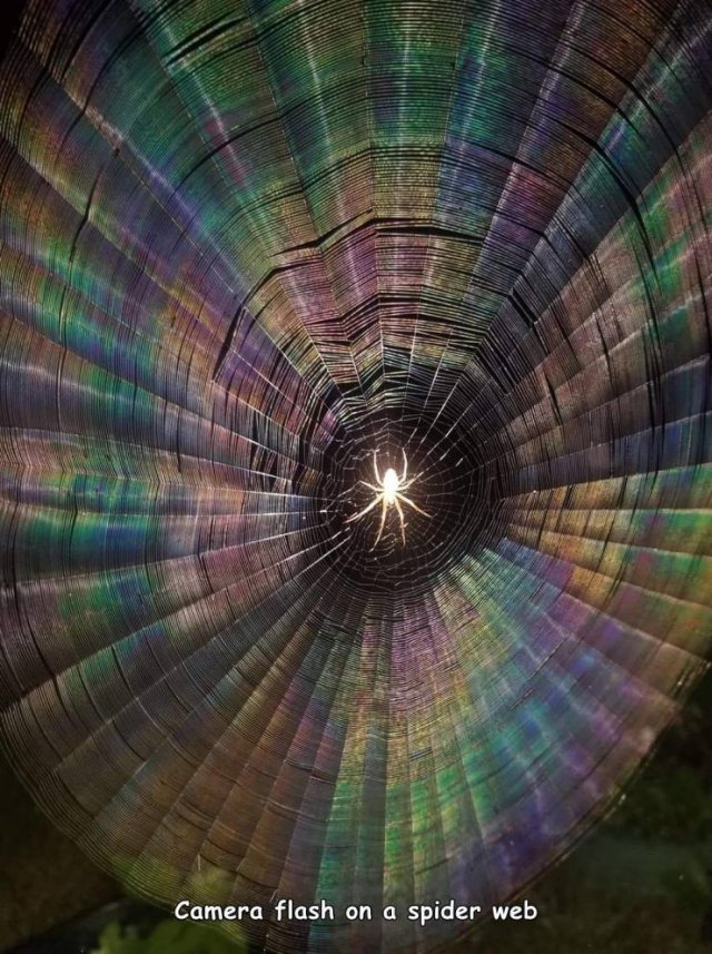Acid Picdump 1 (75 pics)