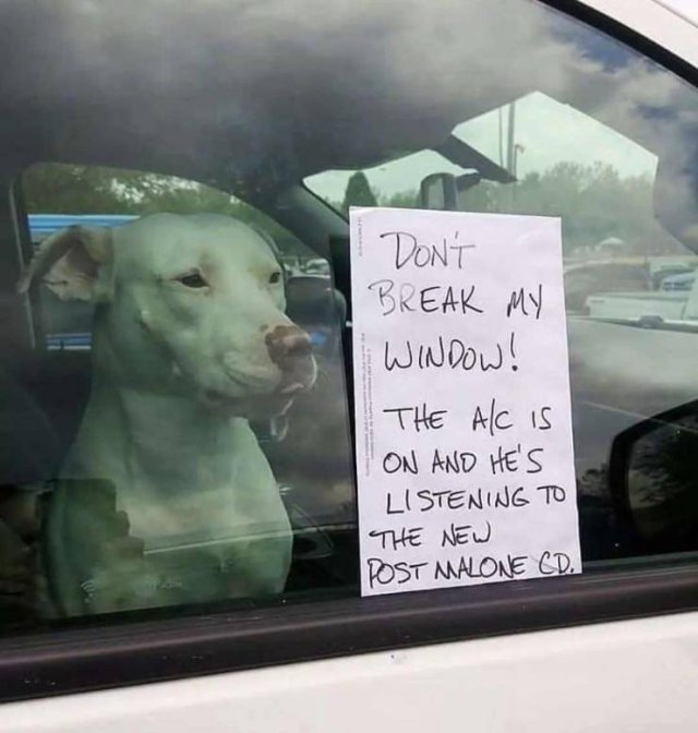 Acid Picdump 1 (75 pics)