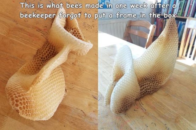 Acid Picdump 1 (75 pics)