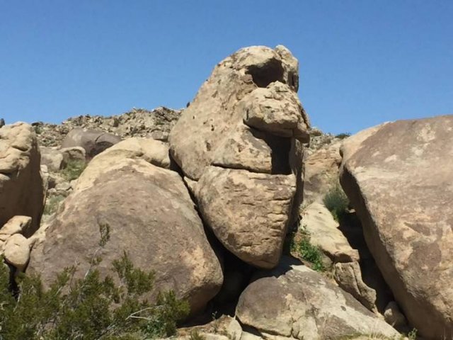 Acid Picdump 1 (75 pics)