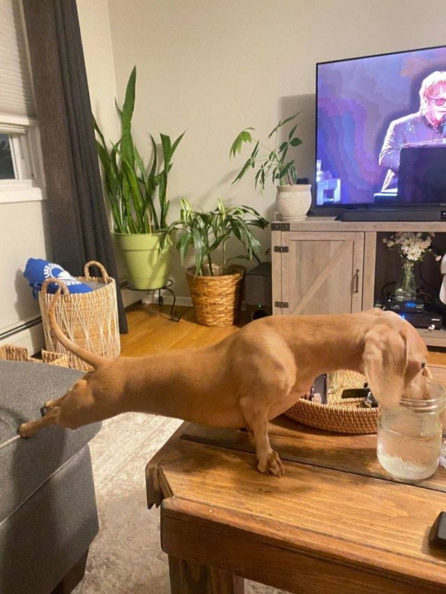 Acid Picdump 1 (75 pics)