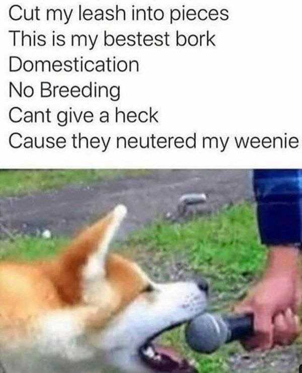Random Funny Memes (49 pics)