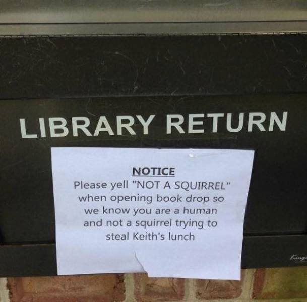 Random Funny Memes (49 pics)