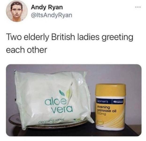 Random Funny Memes (49 pics)