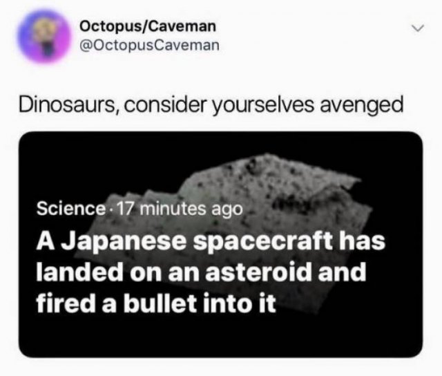 Random Funny Memes (49 pics)
