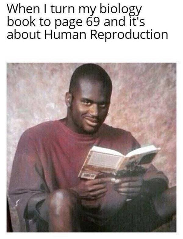 Random Funny Memes (49 pics)