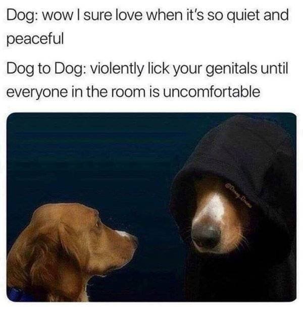 Random Funny Memes (49 pics)
