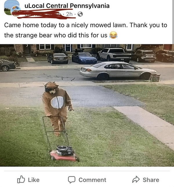 Wholesome Stories (38 pics)