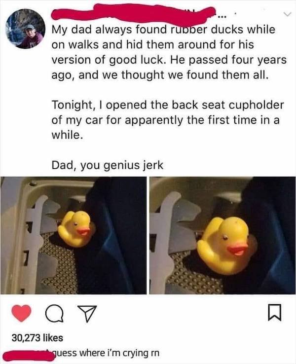 Wholesome Stories (38 pics)