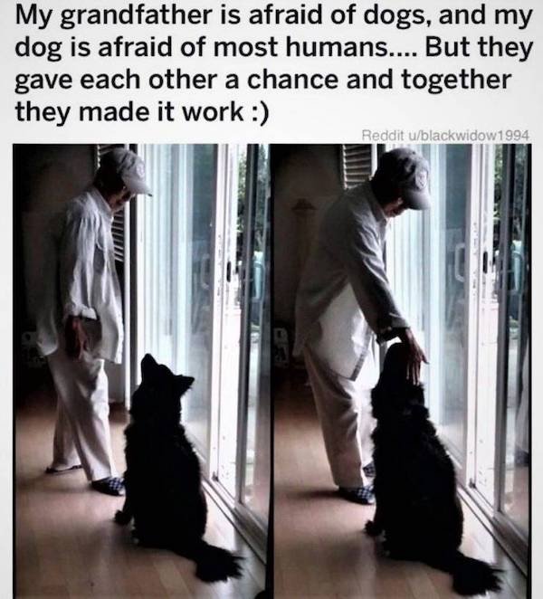 Wholesome Stories (38 pics)