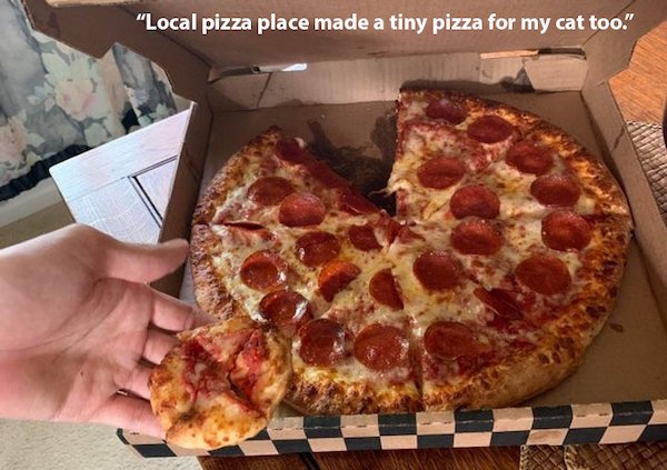 Wholesome Stories (38 pics)