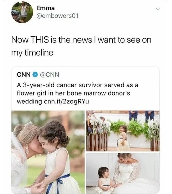Wholesome Stories (38 pics)