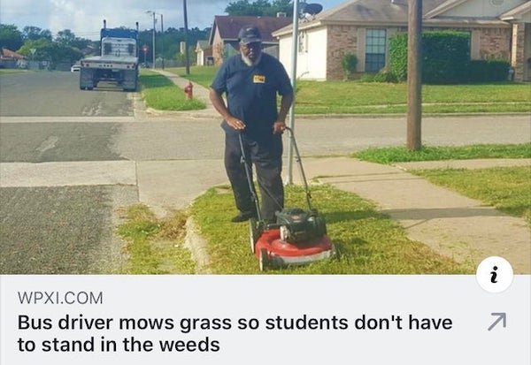 Wholesome Stories (38 pics)
