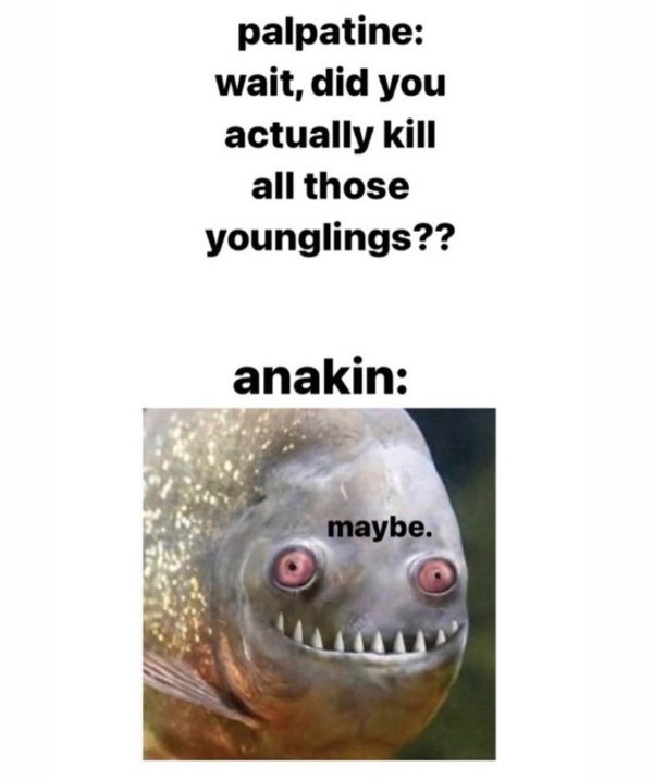 Star Wars Memes (30 pics)