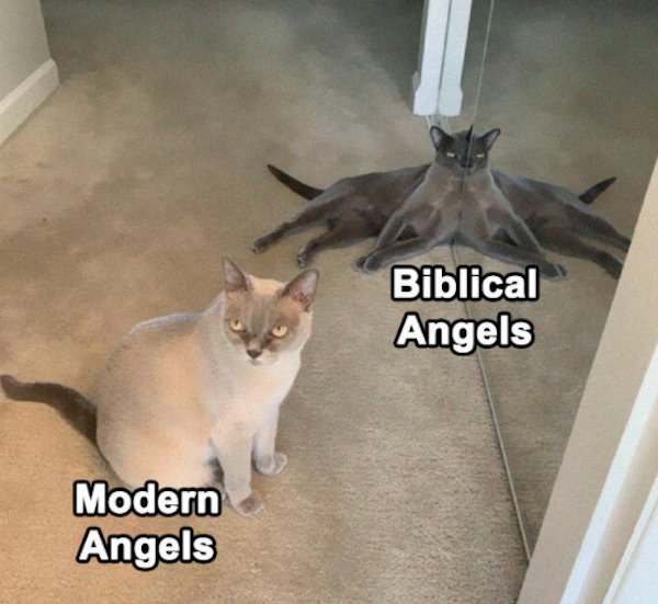 History Memes (27 pics)