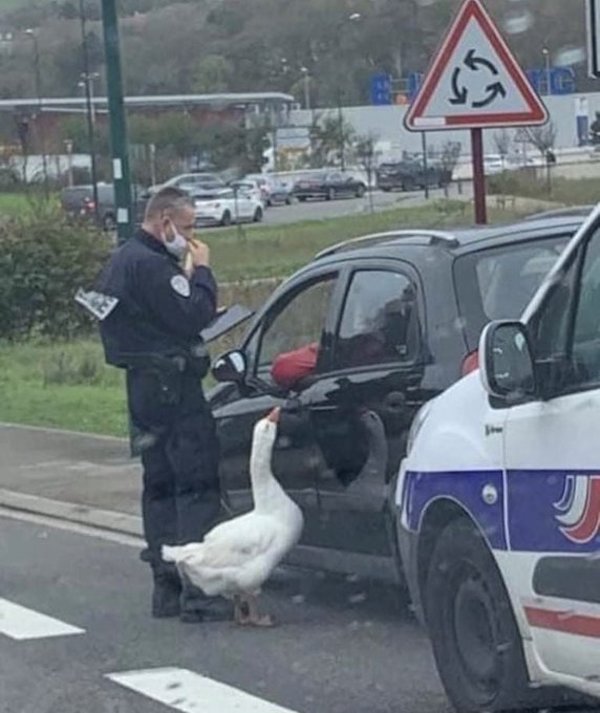 Explanation Needed (30 pics)