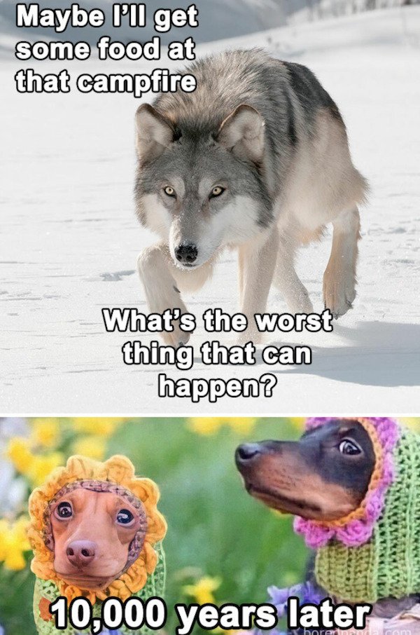 History Memes (27 pics)