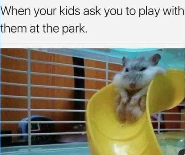 Parenting Memes (32 pics)