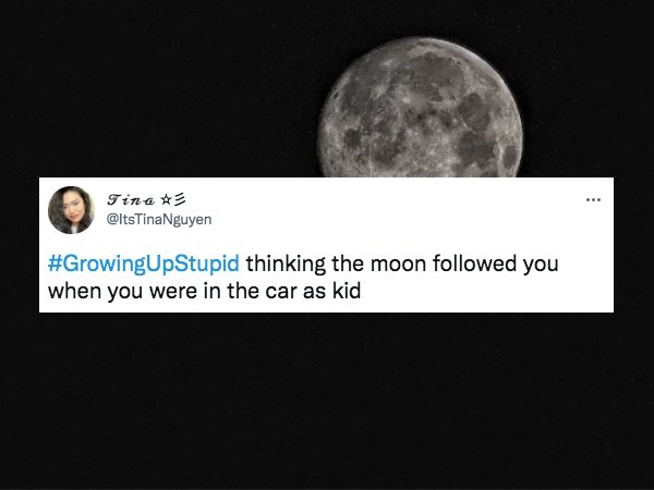 Growing Up Dumb Tweets (28 pics)
