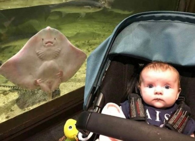 Acid Picdump 2 (74 pics)