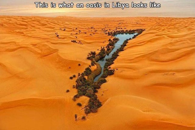Acid Picdump 2 (74 pics)