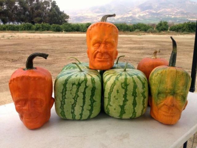 Acid Picdump 2 (74 pics)