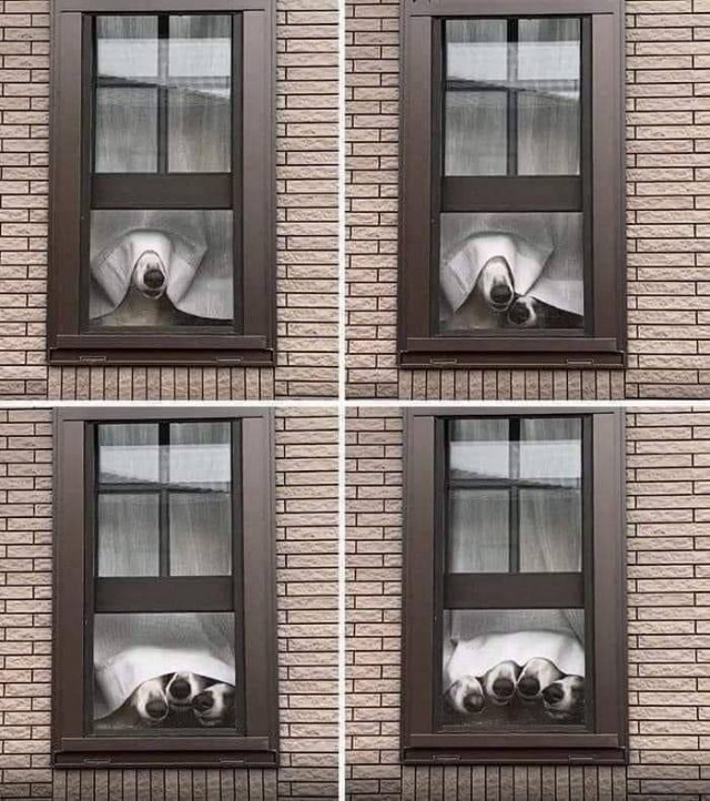 Acid Picdump 2 (74 pics)