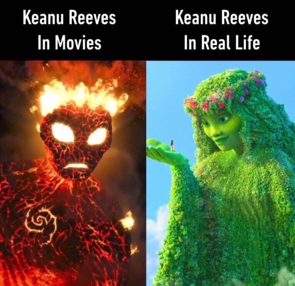 Keanu Reeves Memes And Pictures (57 pics)