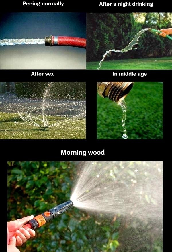 Men Memes (30 pics)