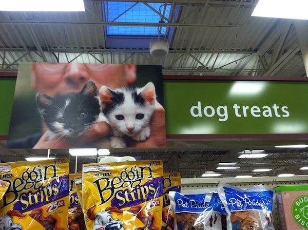 Almost Nailed It (28 pics)