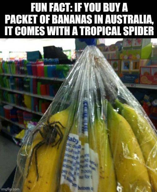 Acid Picdump 2 (74 pics)