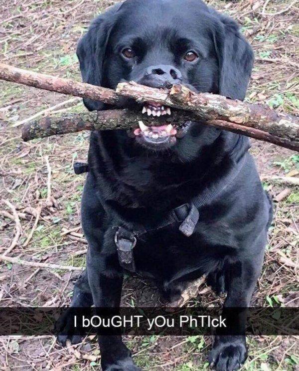 Acid Picdump 2 (74 pics)