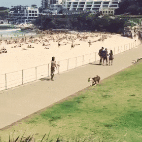 Acid Gifdump, September 2 (25 gifs)