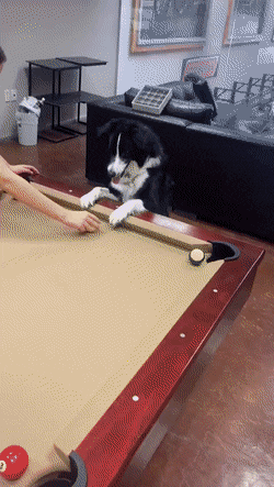 Acid Gifdump, September 2 (25 gifs)
