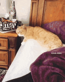 Acid Gifdump, September 2 (25 gifs)
