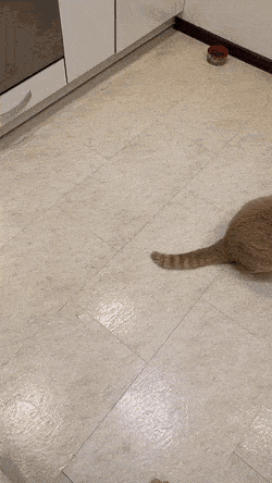 Acid Gifdump, September 2 (25 gifs)