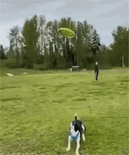 Acid Gifdump, September 2 (25 gifs)