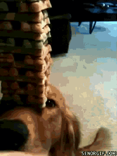 Acid Gifdump, September 3 (25 gifs)