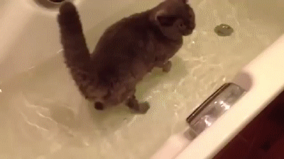 Acid Gifdump, September 3 (25 gifs)