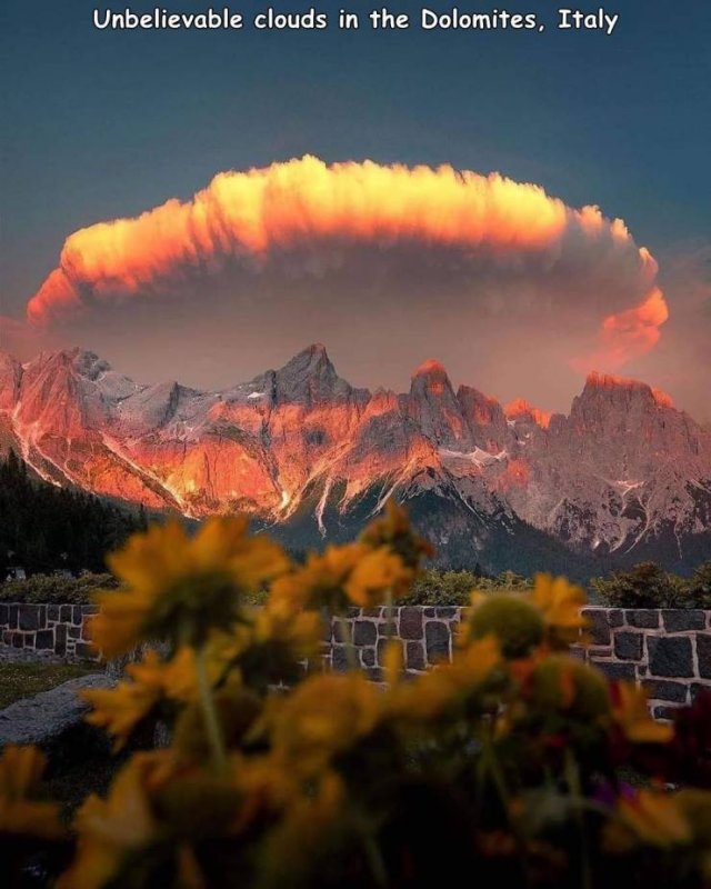 Acid Picdump 1 (77 pics)