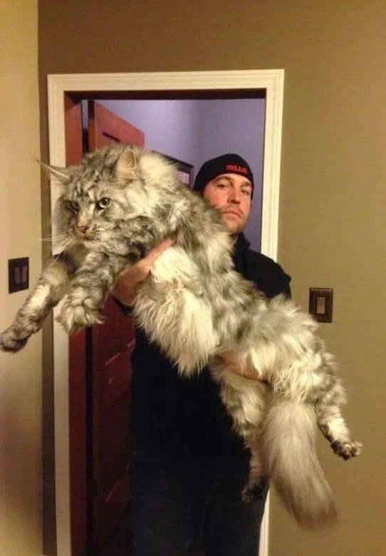 Acid Picdump 1 (77 pics)