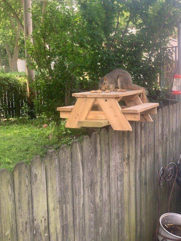 Acid Picdump 2 (76 pics)