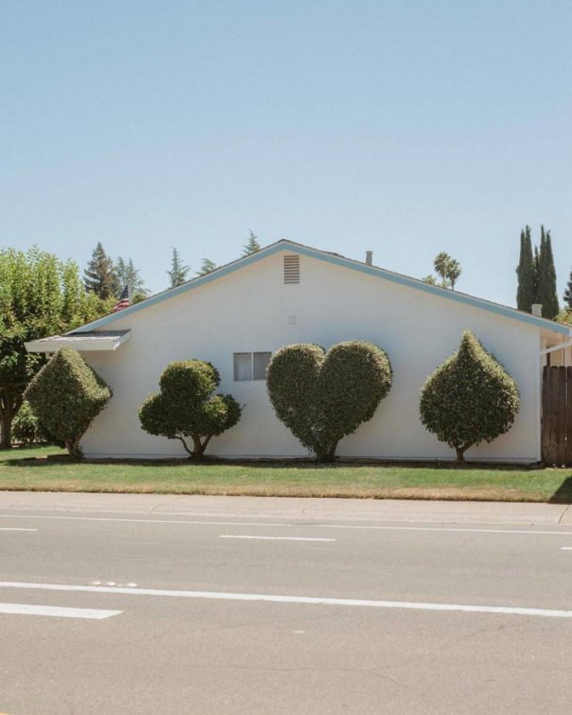 Acid Picdump 2 (76 pics)