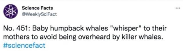 Science Facts (30 pics)